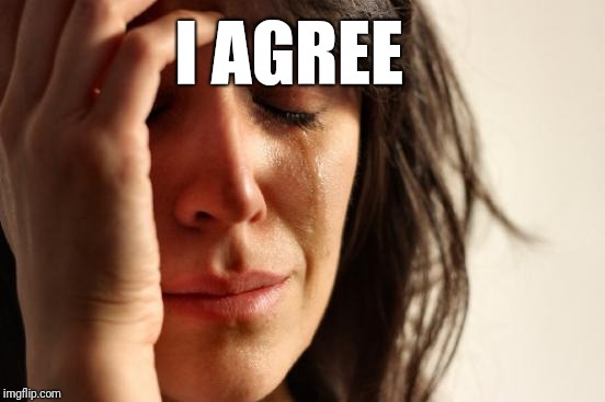 First World Problems Meme | I AGREE | image tagged in memes,first world problems | made w/ Imgflip meme maker