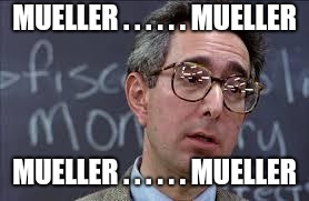 Ferris Bueller Ben Stein | MUELLER . . . . . . MUELLER MUELLER . . . . . . MUELLER | image tagged in ferris bueller ben stein | made w/ Imgflip meme maker