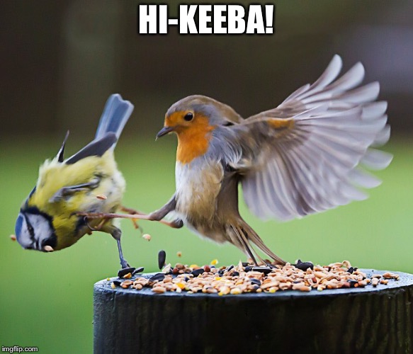 HI-KEEBA! | image tagged in hikeeba,mst3k | made w/ Imgflip meme maker