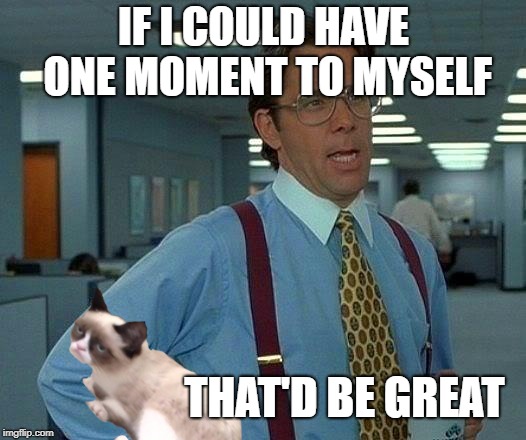 That Would Be Great Meme | IF I COULD HAVE ONE MOMENT TO MYSELF THAT'D BE GREAT | image tagged in memes,that would be great | made w/ Imgflip meme maker