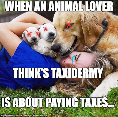 Those poor idiot's that actually think that | WHEN AN ANIMAL LOVER; THINK'S TAXIDERMY; IS ABOUT PAYING TAXES... | image tagged in animal rights,politics,taxes | made w/ Imgflip meme maker