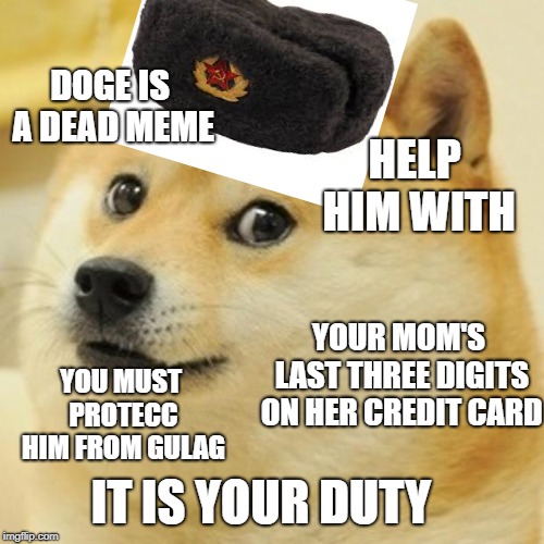 Doge needs your help | DOGE IS A DEAD MEME; HELP HIM WITH; YOUR MOM'S LAST THREE DIGITS ON HER CREDIT CARD; YOU MUST PROTECC HIM FROM GULAG; IT IS YOUR DUTY | image tagged in memes,doge | made w/ Imgflip meme maker