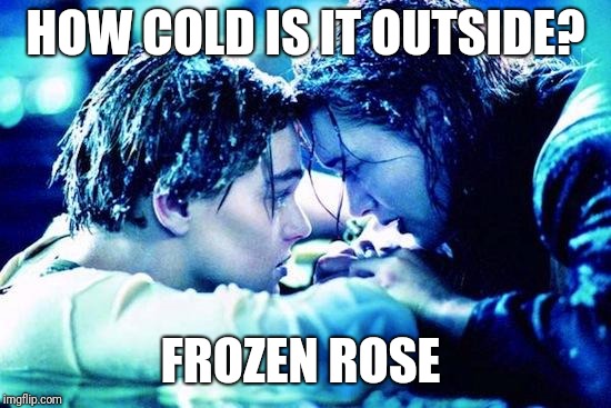 Titanic Raft | HOW COLD IS IT OUTSIDE? FROZEN ROSE | image tagged in titanic raft | made w/ Imgflip meme maker