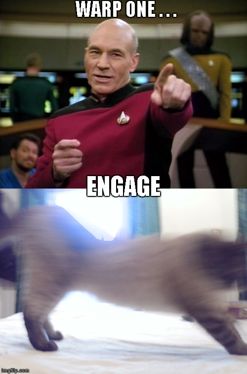 WARP ONE . . . ENGAGE | image tagged in picard | made w/ Imgflip meme maker