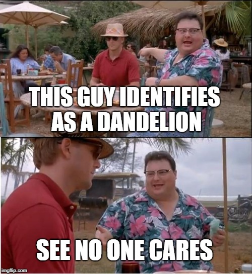 See Nobody Cares | THIS GUY IDENTIFIES AS A DANDELION; SEE NO ONE CARES | image tagged in memes,see nobody cares | made w/ Imgflip meme maker