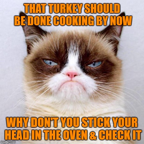 Grumpy - Kitchen helper | THAT TURKEY SHOULD BE DONE COOKING BY NOW; WHY DON'T YOU STICK YOUR HEAD IN THE OVEN & CHECK IT | image tagged in grumpy cat outside,funny memes,cat,thanksgiving dinner,happy thanksgiving,grumpy cat | made w/ Imgflip meme maker