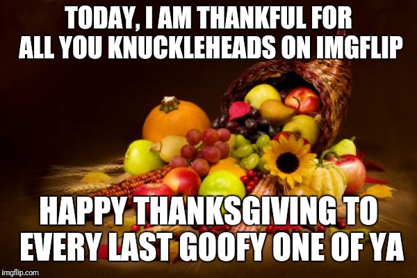 Happy Thanksgiving Imgflip! | TODAY, I AM THANKFUL FOR ALL YOU KNUCKLEHEADS ON IMGFLIP; HAPPY THANKSGIVING TO EVERY LAST GOOFY ONE OF YA | image tagged in thanksgiving | made w/ Imgflip meme maker