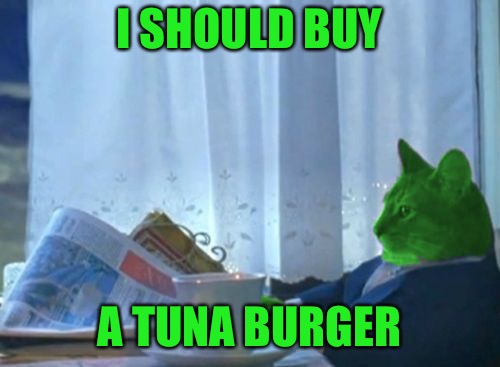 I Should Buy a Boat RayCat | I SHOULD BUY A TUNA BURGER | image tagged in i should buy a boat raycat | made w/ Imgflip meme maker