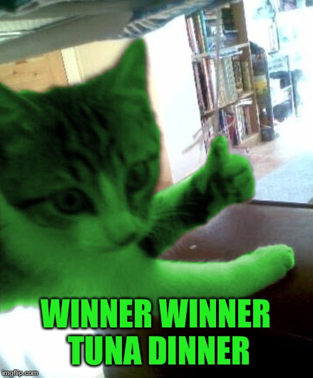 thumbs up RayCat | WINNER WINNER TUNA DINNER | image tagged in thumbs up raycat | made w/ Imgflip meme maker