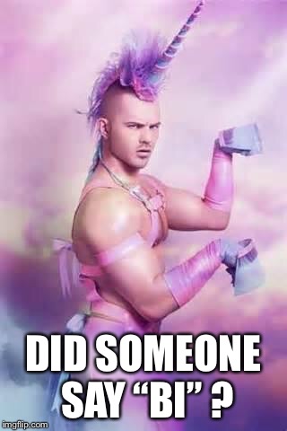 Gay Unicorn | DID SOMEONE SAY “BI” ? | image tagged in gay unicorn | made w/ Imgflip meme maker