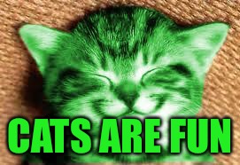 happy RayCat | CATS ARE FUN | image tagged in happy raycat | made w/ Imgflip meme maker