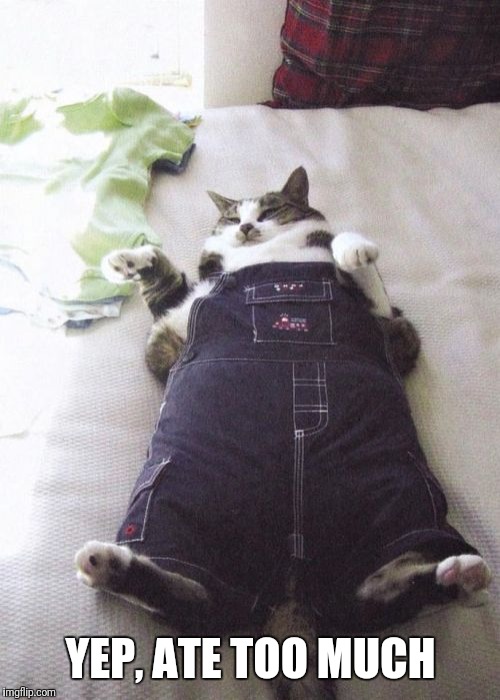 Fat Cat Meme | YEP, ATE TOO MUCH | image tagged in memes,fat cat | made w/ Imgflip meme maker