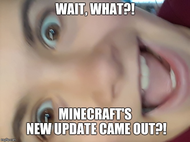 WAIT, WHAT?! MINECRAFT'S NEW UPDATE CAME OUT?! | image tagged in wait what | made w/ Imgflip meme maker