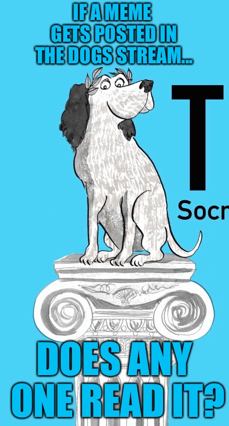 Socrates’ Dog | IF A MEME GETS POSTED IN THE DOGS STREAM... DOES ANY ONE READ IT? | image tagged in memes,socrates dog | made w/ Imgflip meme maker