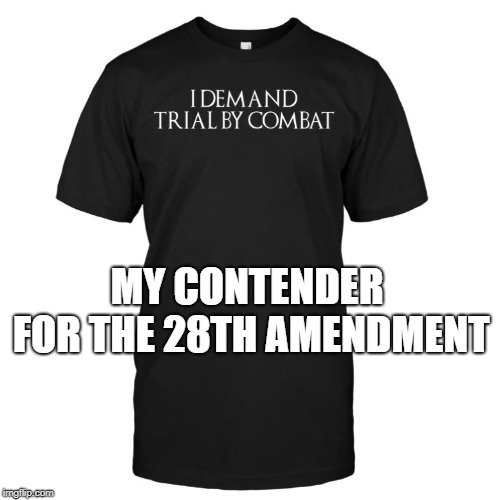 Trial By Combat Should Be Legalized | MY CONTENDER FOR THE 28TH AMENDMENT | image tagged in trial by combat,amendment,constitution,judge,jury,trial | made w/ Imgflip meme maker