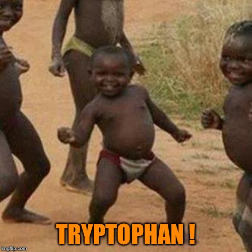 Third World Success Kid Meme | TRYPTOPHAN ! | image tagged in memes,third world success kid | made w/ Imgflip meme maker
