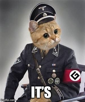 Grammar Nazi Cat | IT’S | image tagged in grammar nazi cat | made w/ Imgflip meme maker