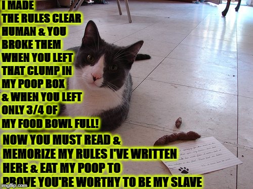 I MADE THE RULES CLEAR HUMAN & YOU BROKE THEM WHEN YOU LEFT THAT CLUMP IN MY POOP BOX & WHEN YOU LEFT ONLY 3/4 OF MY FOOD BOWL FULL! NOW YOU MUST READ & MEMORIZE MY RULES I'VE WRITTEN HERE & EAT MY POOP TO PROVE YOU'RE WORTHY TO BE MY SLAVE | image tagged in tyrant turd | made w/ Imgflip meme maker