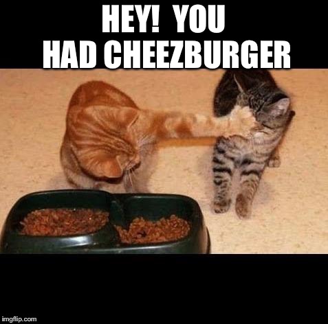 HEY!  YOU HAD CHEEZBURGER | made w/ Imgflip meme maker