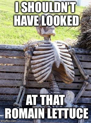 Waiting Skeleton Meme | I SHOULDN’T HAVE LOOKED AT THAT ROMAIN LETTUCE | image tagged in memes,waiting skeleton | made w/ Imgflip meme maker