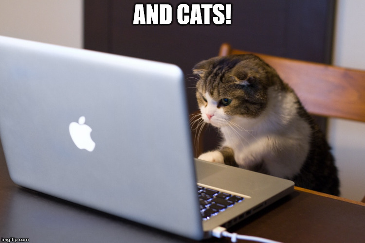 Cat on Computer | AND CATS! | image tagged in cat on computer | made w/ Imgflip meme maker