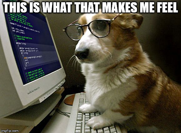 corgi hacker | THIS IS WHAT THAT MAKES ME FEEL | image tagged in corgi hacker | made w/ Imgflip meme maker