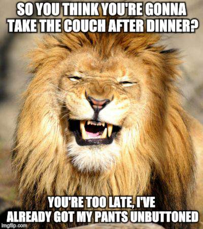 The king of the redneck jungle | SO YOU THINK YOU'RE GONNA TAKE THE COUCH AFTER DINNER? YOU'RE TOO LATE, I'VE ALREADY GOT MY PANTS UNBUTTONED | image tagged in memes,animals,thanksgiving dinner,lion,rednecks,holidays | made w/ Imgflip meme maker