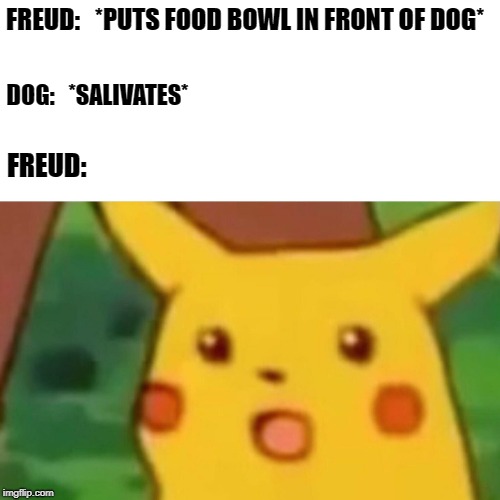 Surprised Pikachu | FREUD:   *PUTS FOOD BOWL IN FRONT OF DOG*; DOG:   *SALIVATES*; FREUD: | image tagged in memes,surprised pikachu | made w/ Imgflip meme maker