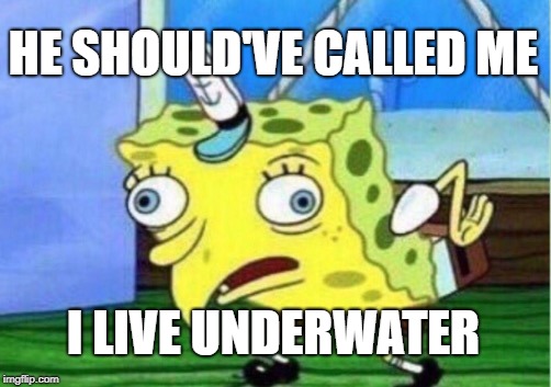 Mocking Spongebob Meme | HE SHOULD'VE CALLED ME I LIVE UNDERWATER | image tagged in memes,mocking spongebob | made w/ Imgflip meme maker