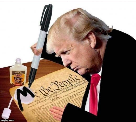 In his mind, you don't count. It's all about him, his family and his lawyers. | . | image tagged in trump,constitution | made w/ Imgflip meme maker