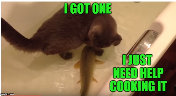 I GOT ONE I JUST NEED HELP COOKING IT | made w/ Imgflip meme maker