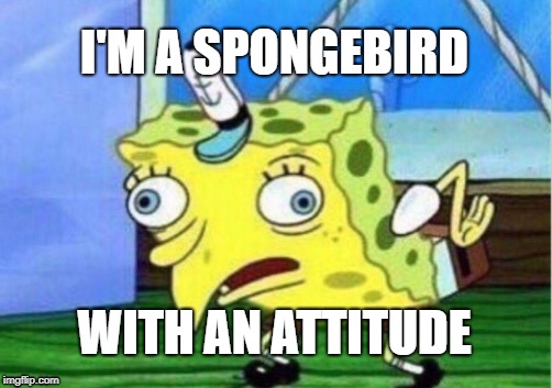 Mocking Spongebob Meme | I'M A SPONGEBIRD; WITH AN ATTITUDE | image tagged in memes,mocking spongebob | made w/ Imgflip meme maker