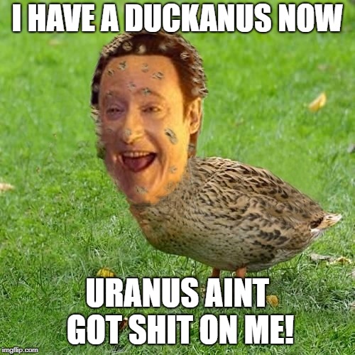 Duck Duck Poop | I HAVE A DUCKANUS NOW; URANUS AINT GOT SHIT ON ME! | image tagged in the data ducky,gets very lucky,when star trek memes,are not data suckey | made w/ Imgflip meme maker