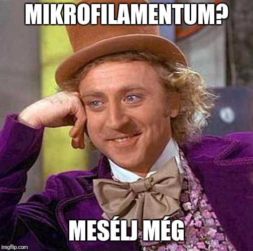 Creepy Condescending Wonka Meme | MIKROFILAMENTUM? MESÉLJ MÉG | image tagged in memes,creepy condescending wonka | made w/ Imgflip meme maker