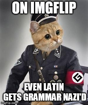 Grammar Nazi Cat | ON IMGFLIP EVEN LATIN GETS GRAMMAR NAZI'D | image tagged in grammar nazi cat | made w/ Imgflip meme maker