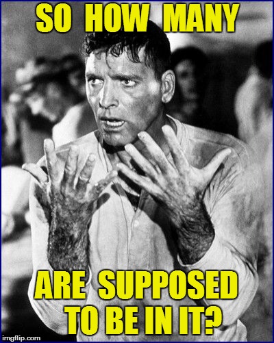 SO  HOW  MANY ARE  SUPPOSED  TO BE IN IT? | made w/ Imgflip meme maker