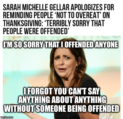 Sarah Michelle Gellar: The Outrage | I'M SO SORRY THAT I OFFENDED ANYONE; I FORGOT YOU CAN'T SAY ANYTHING ABOUT ANYTHING WITHOUT SOMEONE BEING OFFENDED | image tagged in snowflakes,sarah michelle gellar,fat shaming,the horror - the horror,marlon brando,apocalypse now | made w/ Imgflip meme maker
