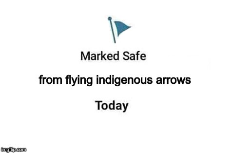 marked safe flag | from flying indigenous arrows | image tagged in marked safe flag | made w/ Imgflip meme maker