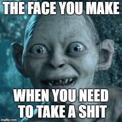 Gollum | THE FACE YOU MAKE; WHEN YOU NEED TO TAKE A SHIT | image tagged in memes,gollum | made w/ Imgflip meme maker