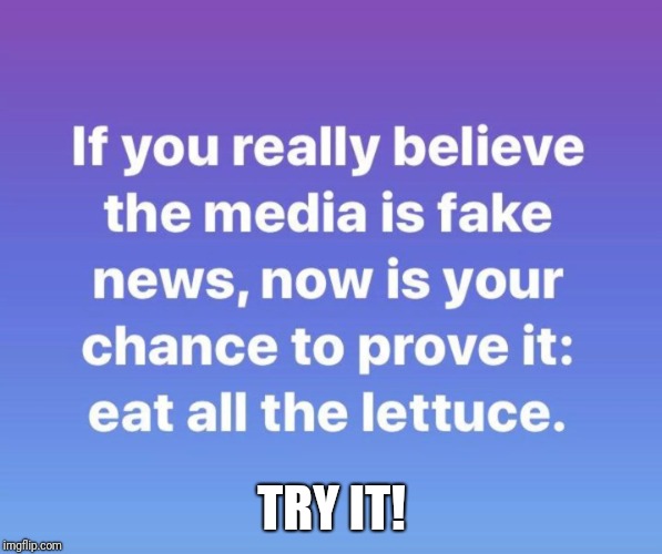 Memes | TRY IT! | image tagged in donald trump is an idiot | made w/ Imgflip meme maker