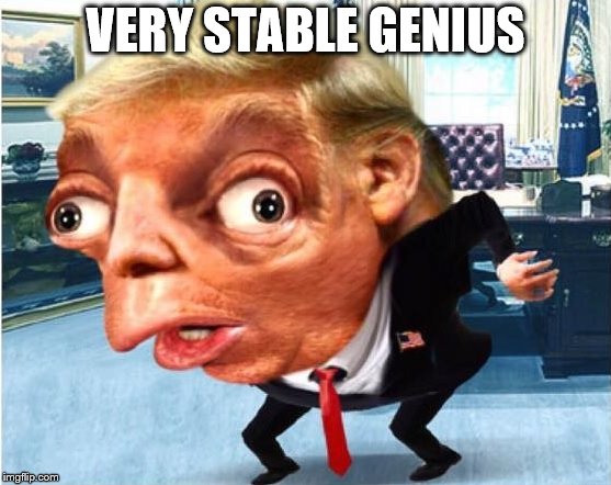 mocking trump | VERY STABLE GENIUS | image tagged in mocking trump | made w/ Imgflip meme maker