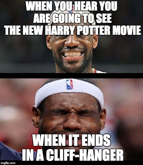 LeBron Lames | WHEN YOU HEAR YOU ARE GOING TO SEE THE NEW HARRY POTTER MOVIE; WHEN IT ENDS IN A CLIFF-HANGER | image tagged in lebron happy sad | made w/ Imgflip meme maker