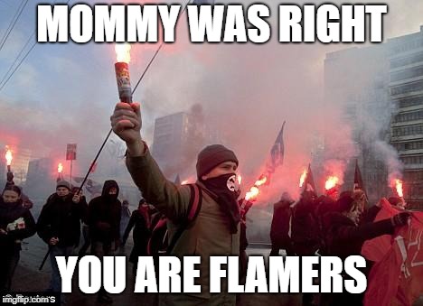 protest | MOMMY WAS RIGHT; YOU ARE FLAMERS | image tagged in protest | made w/ Imgflip meme maker