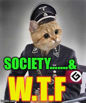 Grammar Nazi Cat | SOCIETY.......& W.T.F | image tagged in grammar nazi cat | made w/ Imgflip meme maker