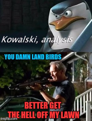 YOU DAMN LAND BIRDS; BETTER GET THE HELL OFF MY LAWN | image tagged in gran torino rifle,analysis,clint eastwood gran torino,get off my lawn,kowalski analysis,clint eastwood | made w/ Imgflip meme maker