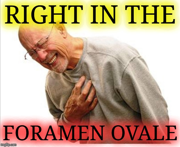 Right in the feels  | RIGHT IN THE FORAMEN OVALE | image tagged in right in the feels | made w/ Imgflip meme maker
