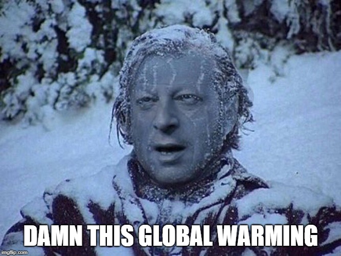 DAMN THIS GLOBAL WARMING | image tagged in cold | made w/ Imgflip meme maker