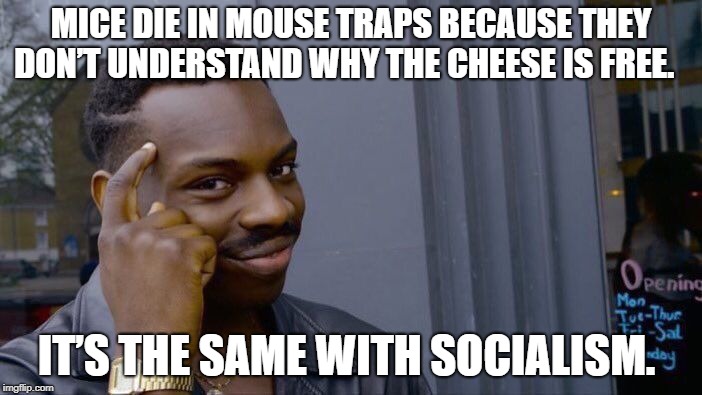 Roll Safe Think About It Meme | MICE DIE IN MOUSE TRAPS BECAUSE THEY DON’T UNDERSTAND WHY THE CHEESE IS FREE. IT’S THE SAME WITH SOCIALISM. | image tagged in memes,roll safe think about it | made w/ Imgflip meme maker