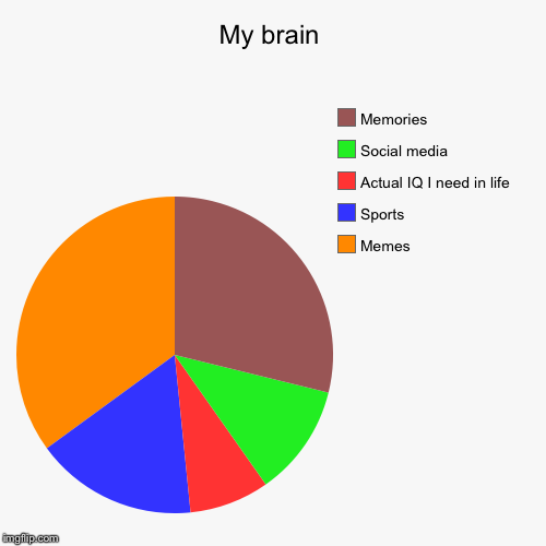 My brain | Memes, Sports, Actual IQ I need in life, Social media, Memories | image tagged in funny,pie charts | made w/ Imgflip chart maker