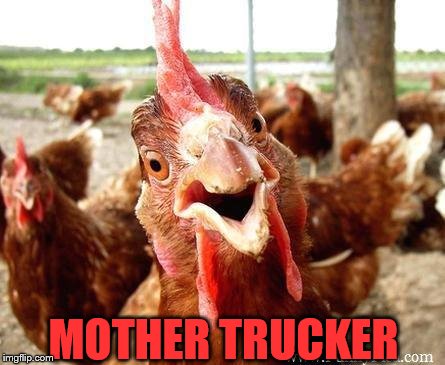 Chicken | MOTHER TRUCKER | image tagged in chicken | made w/ Imgflip meme maker